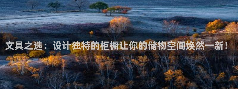 彩名堂app官网：文具之选：设计独特的柜