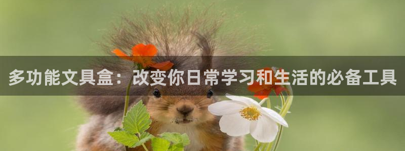 彩名堂跟哪种最好用：多功能文具盒：改变你
