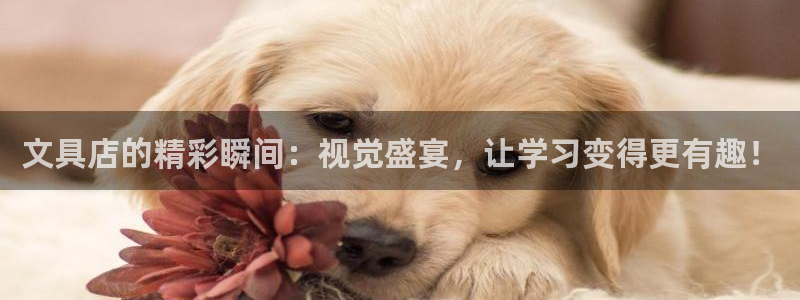 彩名堂免费计划官网5.0.0：文具店的精
