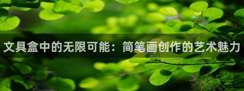 彩名堂免费计划官网怎么进不去了呢：文具盒
