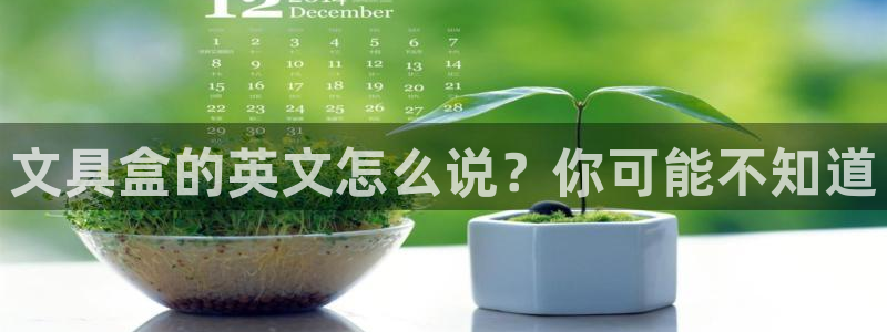 彩名堂一直不出结果怎么回事：文具盒的英文