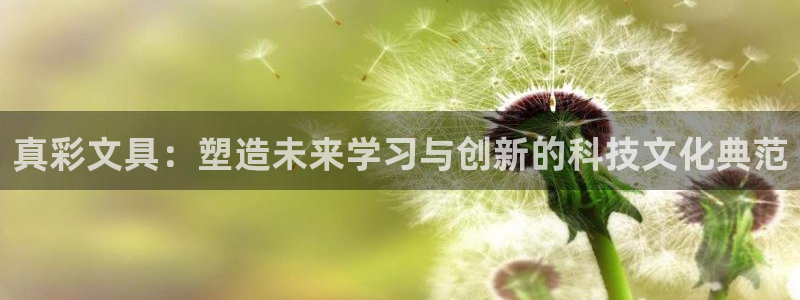 彩名堂怎么选稳定计划产品：真彩文具：塑造