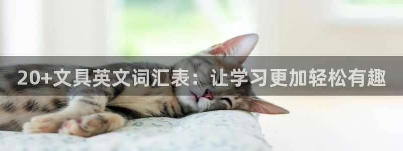 彩名堂免费计划亮点：20+文具英文词汇表