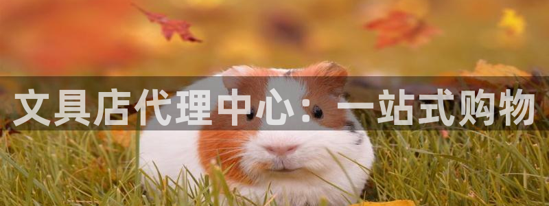 彩名堂手机版官网：文具店代理中心：一站式