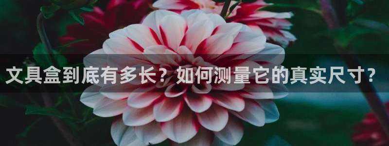 彩名堂免费计划软件下载：文具盒到底有多长