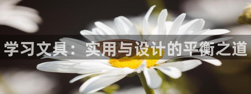 彩名堂免费计划官网50：学习文具：实用与