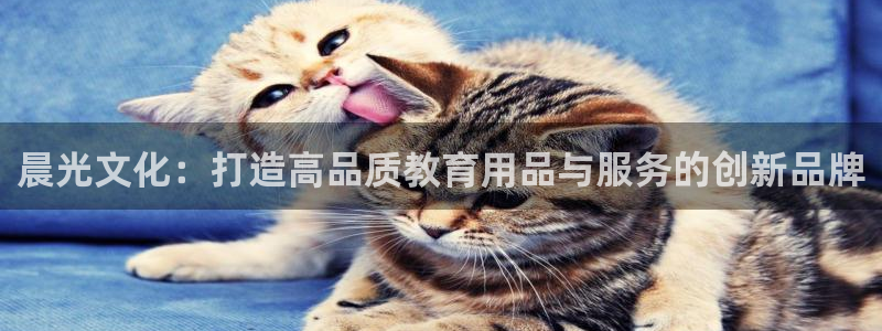 彩名堂预测软件：晨光文化：打造高品质教育