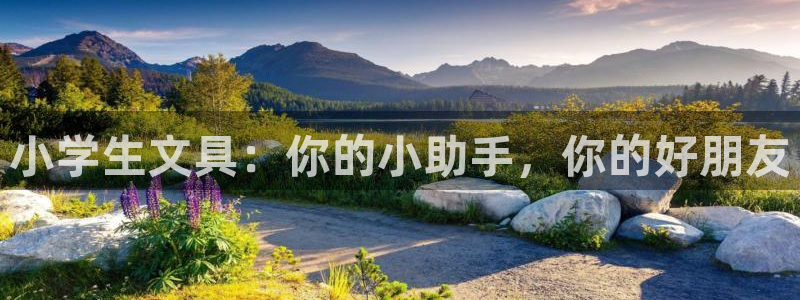 彩名堂免费计划官网50下载957：小学生