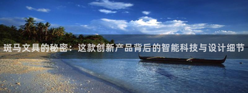 彩名堂人工计划怎么找不到下载了?：斑马文