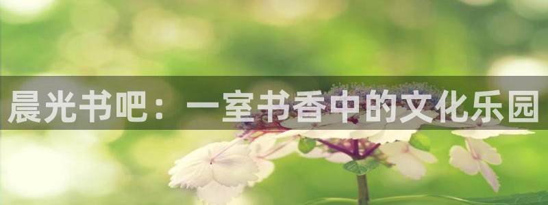 彩名堂预测网站：晨光书吧：一室书香中的文
