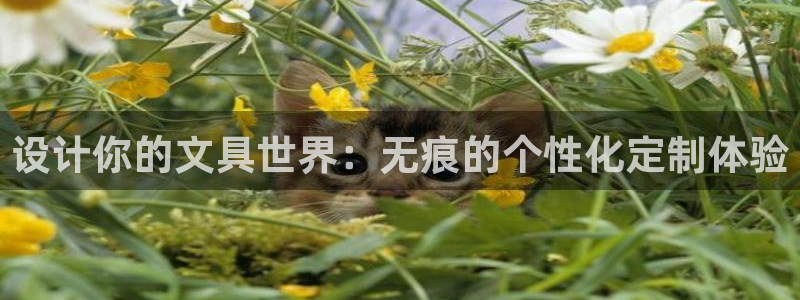 彩名堂苹果版怎么不能用了：设计你的文具世