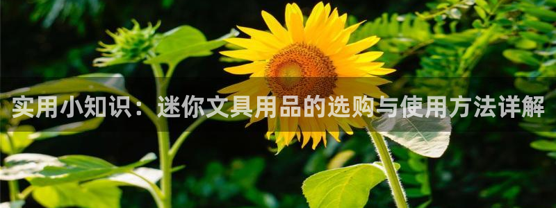 彩名堂4.3：实用小知识：迷你文具用品的