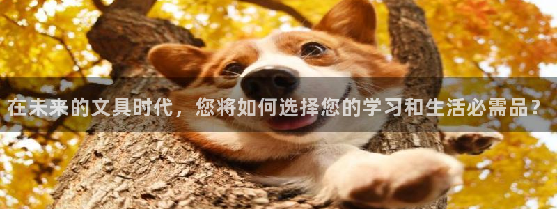 彩名堂怎么打最稳：在未来的文具时代，您将