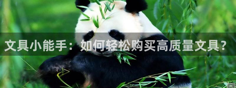 彩名堂是正规的公司吗：文具小能手：如何轻