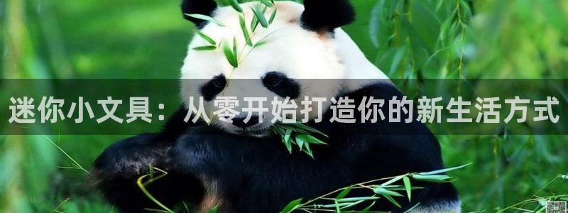 彩名堂免费计划5.0使用方法是什么：迷你