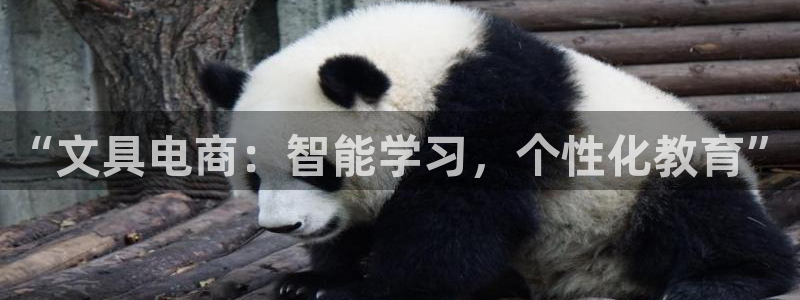 正规彩名堂官网计划01：“文具电商：智能