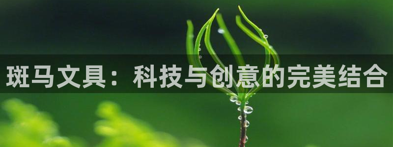 彩名堂怎么样：斑马文具：科技与创意的完美