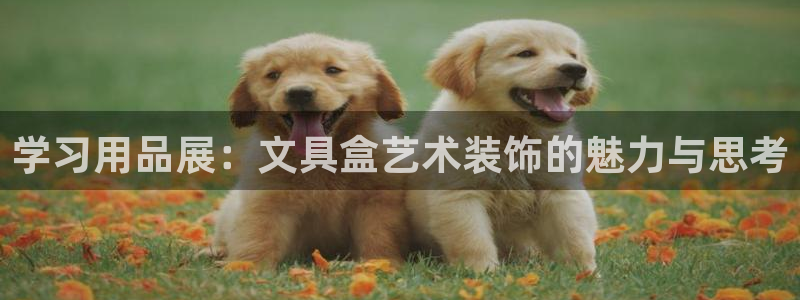 彩名堂最新计划下载地址：学习用品展：文具