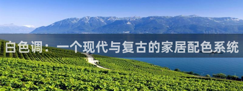 彩名堂是不是不能用了吗：白色调：一个现代