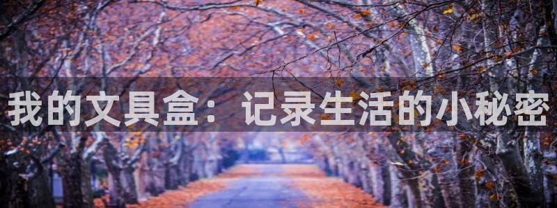 彩名堂计划真的准吗：我的文具盒：记录生活