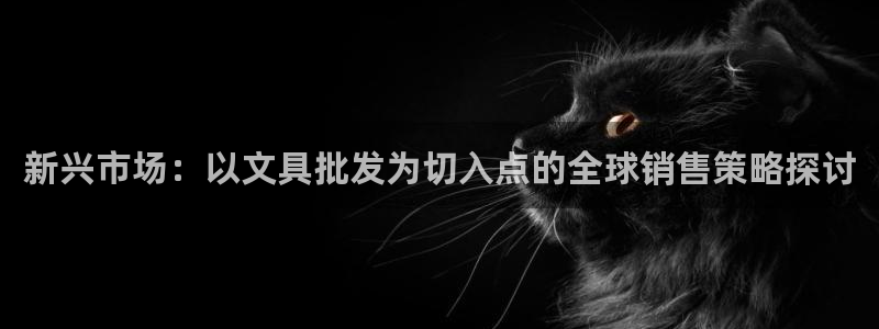 彩名堂免费计划5.0使用方法是什么：新兴