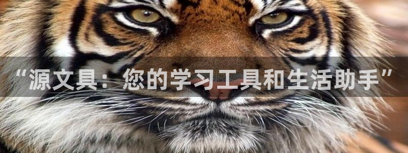彩名堂苹果版怎么不能用了：“源文具：您的