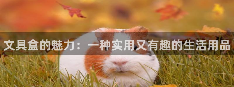 cmt彩名堂：文具盒的魅力：一种实用又有
