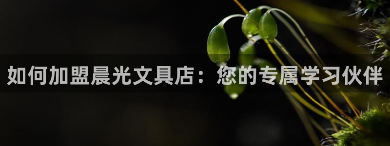 彩名堂官网网页计划：如何加盟晨光文具店：