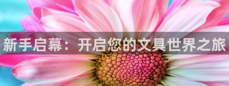 如何进入彩名堂官网更新：新手启幕：开启您