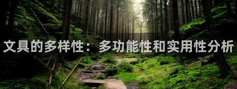 彩名堂手机版官网：文具的多样性：多功能性