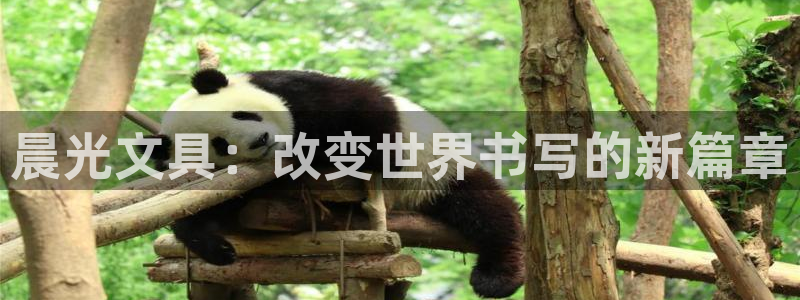 彩名堂客户端加拿大：晨光文具：改变世界书