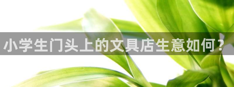 彩名堂官网计划怎么下载：小学生门头上的文