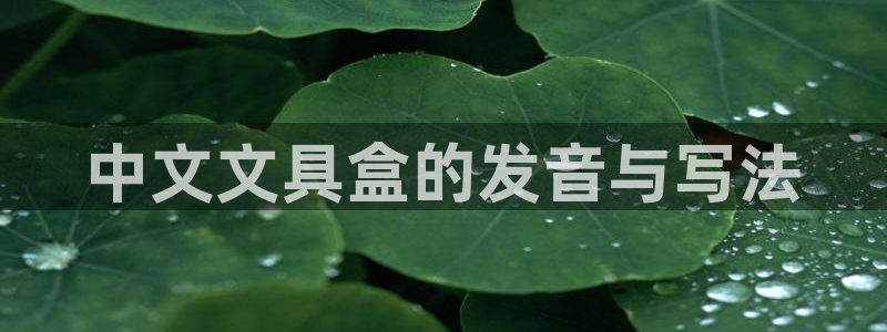 彩名堂官网网页计划：中文文具盒的发音与写