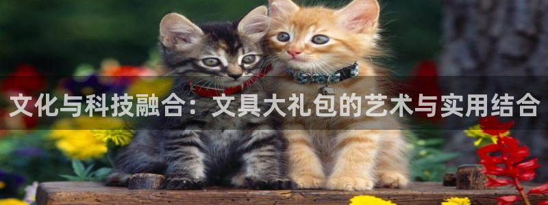 彩名堂免费计划官网怎么进不去了呀：文化与