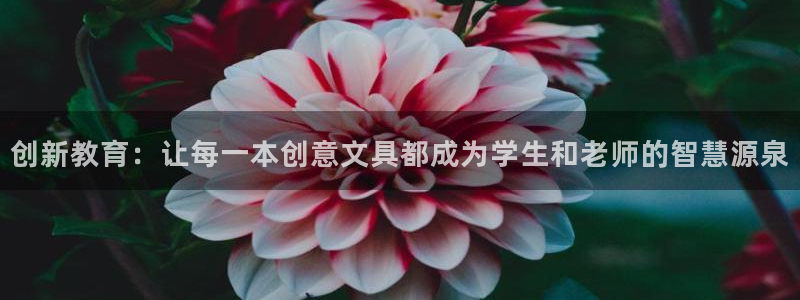 彩名堂怎么选稳定计划：创新教育：让每一本